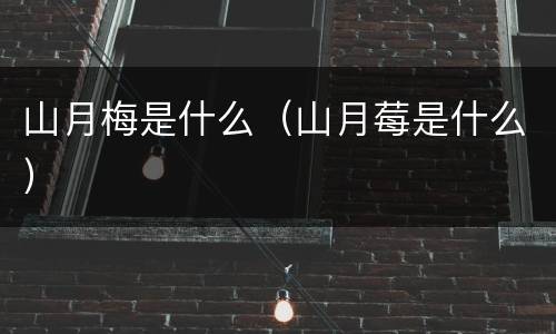 山月梅是什么（山月莓是什么）