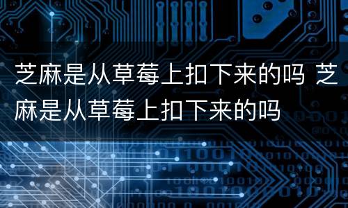 芝麻是从草莓上扣下来的吗 芝麻是从草莓上扣下来的吗