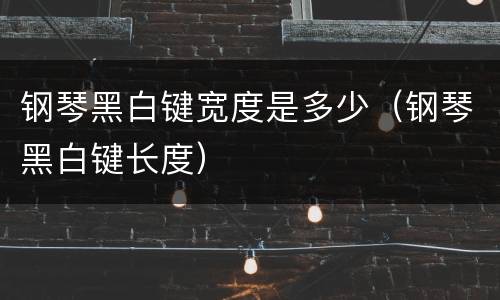 钢琴黑白键宽度是多少（钢琴黑白键长度）