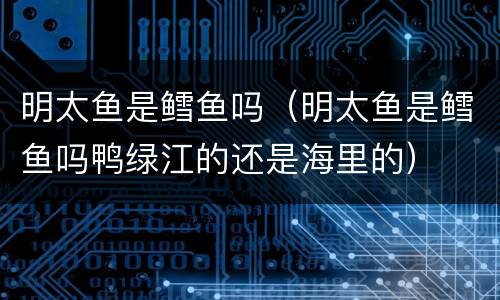 明太鱼是鳕鱼吗（明太鱼是鳕鱼吗鸭绿江的还是海里的）