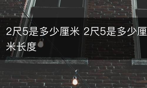 2尺5是多少厘米 2尺5是多少厘米长度