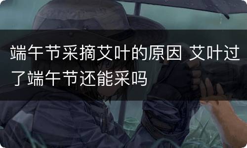 端午节采摘艾叶的原因 艾叶过了端午节还能采吗
