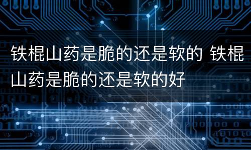 铁棍山药是脆的还是软的 铁棍山药是脆的还是软的好