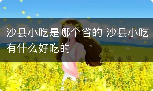 沙县小吃是哪个省的 沙县小吃有什么好吃的