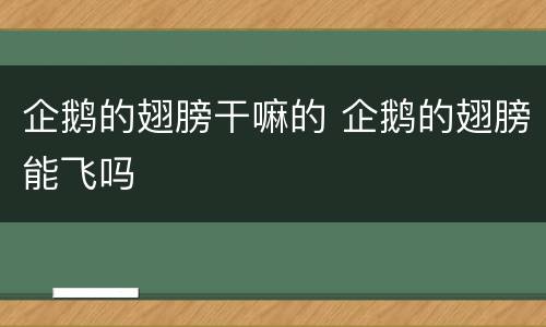 企鹅的翅膀干嘛的 企鹅的翅膀能飞吗