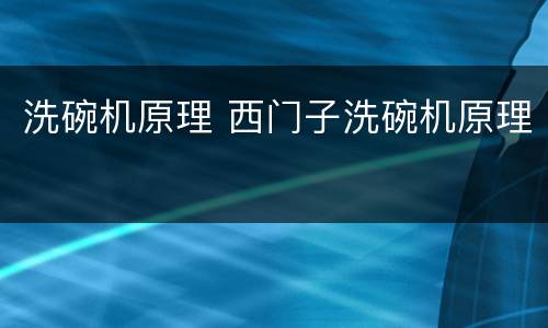 洗碗机原理 西门子洗碗机原理