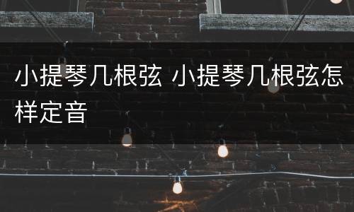 小提琴几根弦 小提琴几根弦怎样定音