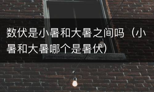 数伏是小暑和大暑之间吗（小暑和大暑哪个是暑伏）