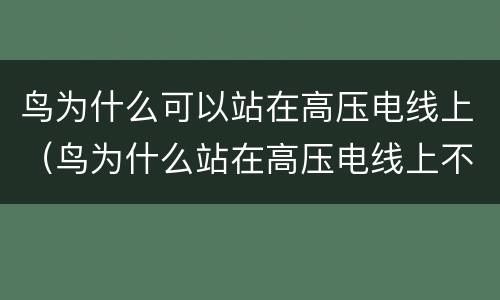 鸟为什么可以站在高压电线上（鸟为什么站在高压电线上不会被电死）
