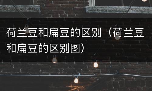 荷兰豆和扁豆的区别（荷兰豆和扁豆的区别图）