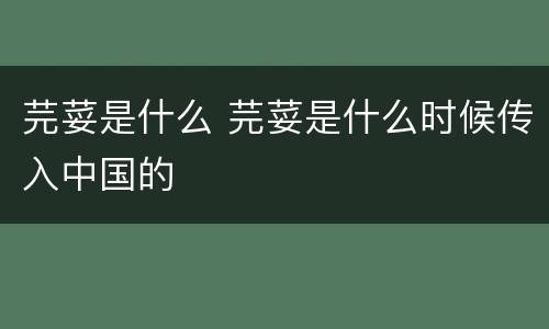 芫荽是什么 芫荽是什么时候传入中国的