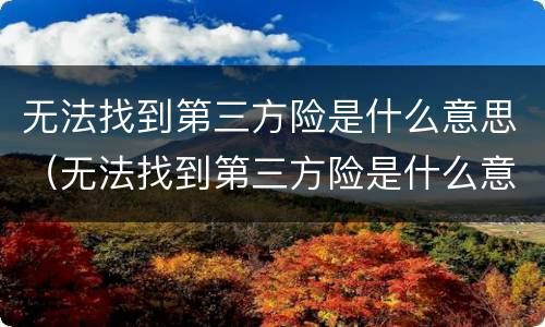无法找到第三方险是什么意思（无法找到第三方险是什么意思需要买吗?）