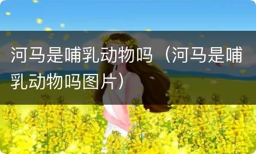 河马是哺乳动物吗（河马是哺乳动物吗图片）