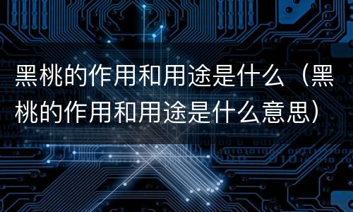 黑桃的作用和用途是什么（黑桃的作用和用途是什么意思）
