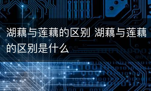 湖藕与莲藕的区别 湖藕与莲藕的区别是什么