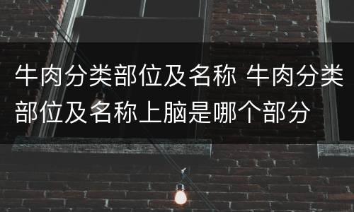 牛肉分类部位及名称 牛肉分类部位及名称上脑是哪个部分