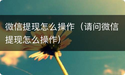 微信提现怎么操作（请问微信提现怎么操作）