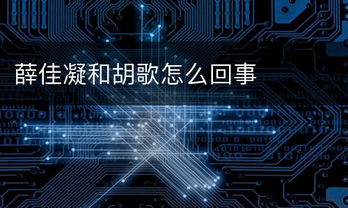 薛佳凝和胡歌怎么回事