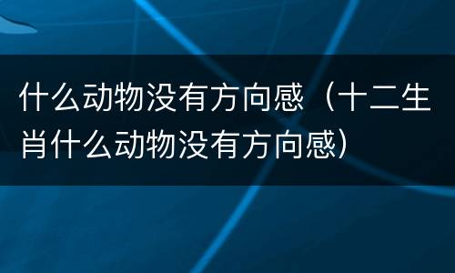 什么动物没有方向感（十二生肖什么动物没有方向感）