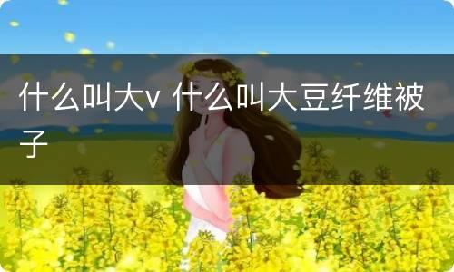 什么叫大v 什么叫大豆纤维被子