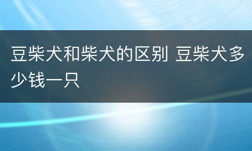 豆柴犬和柴犬的区别 豆柴犬多少钱一只