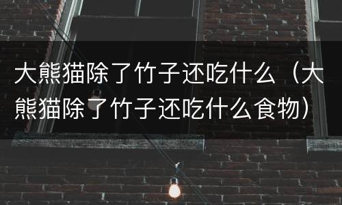 大熊猫除了竹子还吃什么（大熊猫除了竹子还吃什么食物）