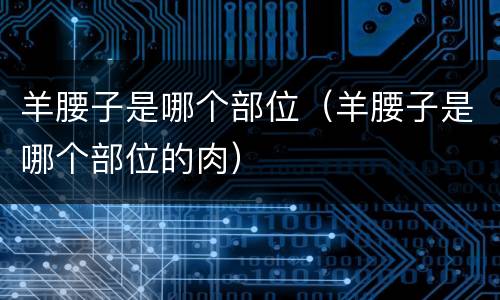 羊腰子是哪个部位（羊腰子是哪个部位的肉）