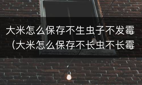 大米怎么保存不生虫子不发霉（大米怎么保存不长虫不长霉）