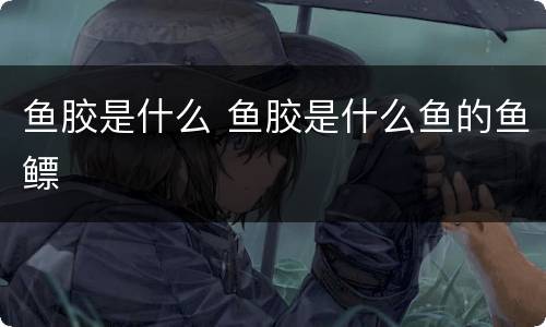 鱼胶是什么 鱼胶是什么鱼的鱼鳔