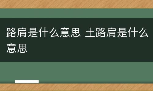路肩是什么意思 土路肩是什么意思