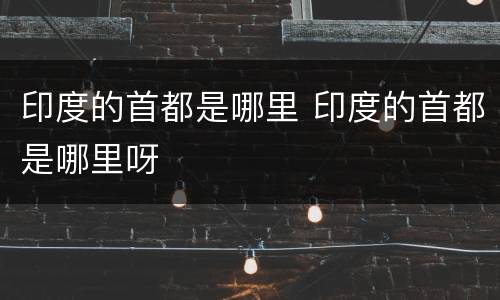 印度的首都是哪里 印度的首都是哪里呀