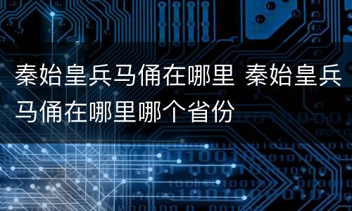 秦始皇兵马俑在哪里 秦始皇兵马俑在哪里哪个省份
