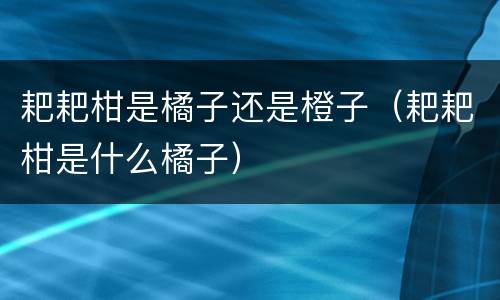 耙耙柑是橘子还是橙子（耙耙柑是什么橘子）