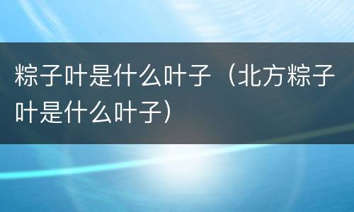 粽子叶是什么叶子（北方粽子叶是什么叶子）