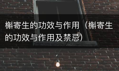 槲寄生的功效与作用（槲寄生的功效与作用及禁忌）