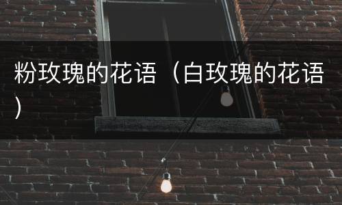 粉玫瑰的花语（白玫瑰的花语）