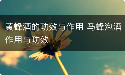 黄蜂酒的功效与作用 马蜂泡酒作用与功效