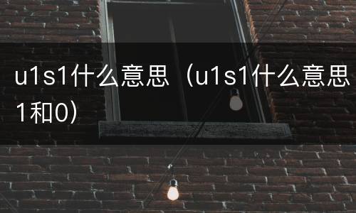 u1s1什么意思（u1s1什么意思1和0）