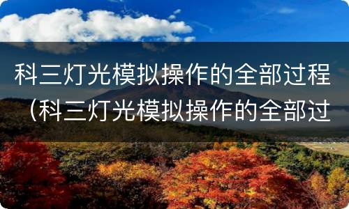 科三灯光模拟操作的全部过程（科三灯光模拟操作的全部过程图片）