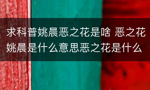 求科普姚晨恶之花是啥 恶之花姚晨是什么意思恶之花是什么事件