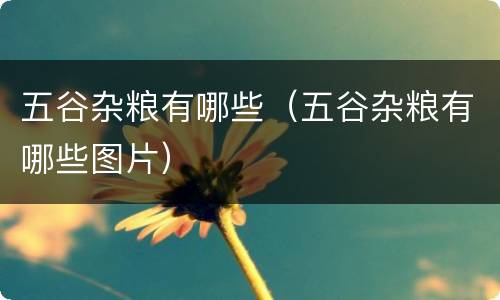 五谷杂粮有哪些（五谷杂粮有哪些图片）