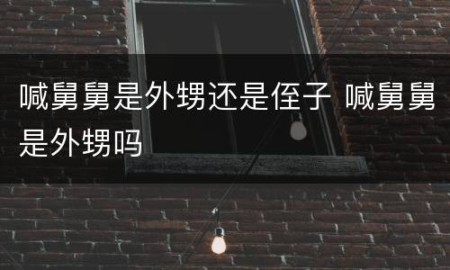 喊舅舅是外甥还是侄子 喊舅舅是外甥吗