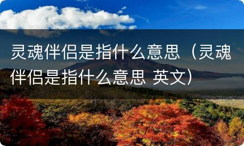 灵魂伴侣是指什么意思（灵魂伴侣是指什么意思 英文）