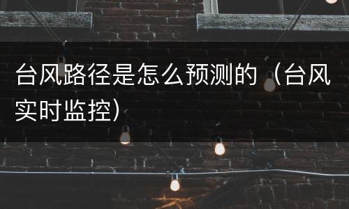台风路径是怎么预测的（台风实时监控）