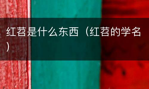 红苕是什么东西（红苕的学名）