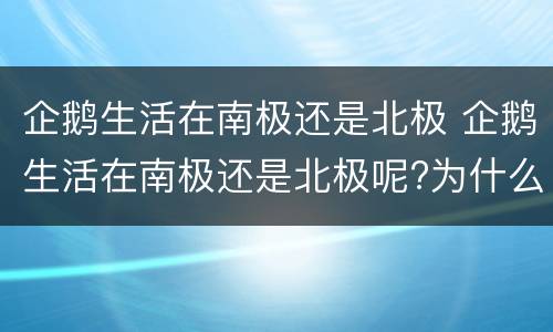 企鹅生活在南极还是北极 企鹅生活在南极还是北极呢?为什么?