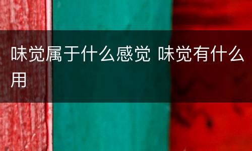味觉属于什么感觉 味觉有什么用