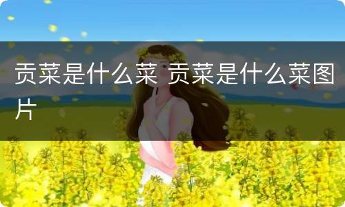 贡菜是什么菜 贡菜是什么菜图片