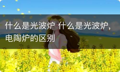 什么是光波炉 什么是光波炉,电陶炉的区别