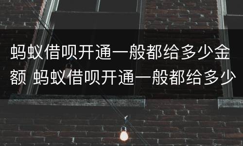 蚂蚁借呗开通一般都给多少金额 蚂蚁借呗开通一般都给多少金额的